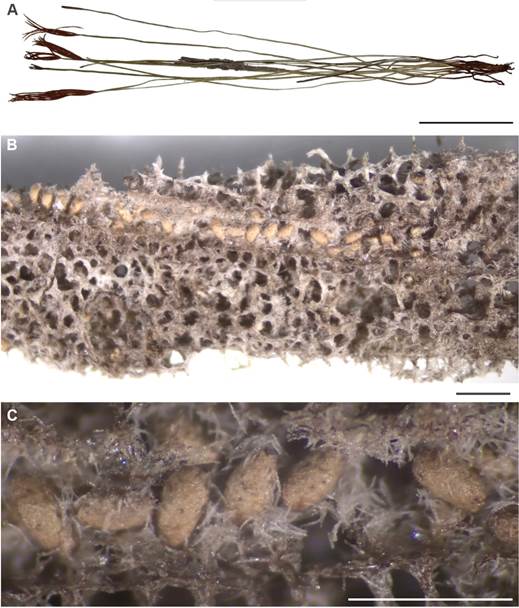 Image from article 2-3